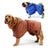 Microfiber Dog Bathrobe